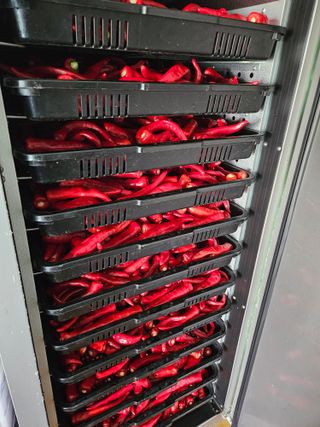 경달현님의 고추 · 영농일지 작성글 사진