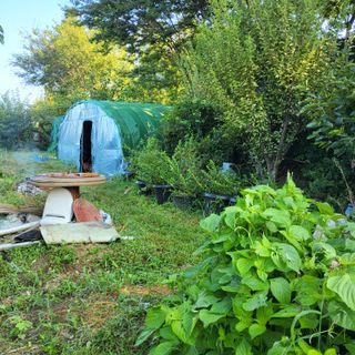 식만동 복합영농님의 기타작물 · 영농일지 작성글 사진