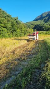 팜모닝 벼·영농일지 게시글 이미지