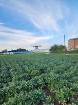 팜모닝 기타작물·영농일지 게시글 이미지