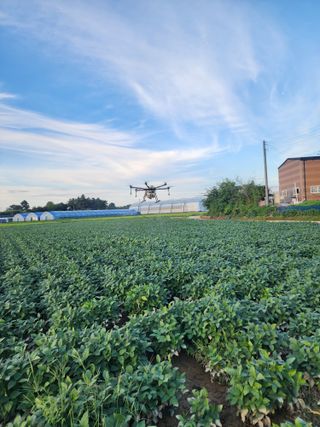 박현준 님의 기타작물 · 영농일지 작성글 사진