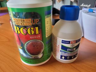 날씨가 흐려 방제가님의 사과 · 영농일지 작성글 사진