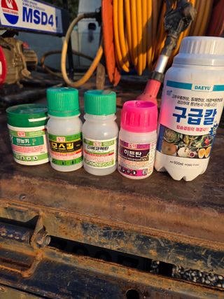 이정순님의 고추 · 영농일지 작성글 사진