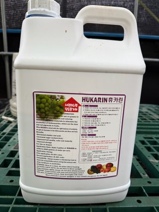 님의 포도 · 영농일지 작성글 사진