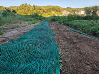 김윤회님의 기타작물 · 영농일지 작성글 사진