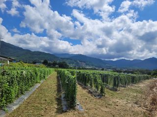 이태창님의 기타작물 · 영농일지 작성글 사진