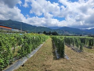 이태창님의 기타작물 · 영농일지 작성글 사진