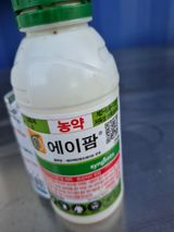 팜모닝 배추·영농일지 게시글 이미지