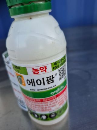 김한수님의 배추 · 영농일지 작성글 사진