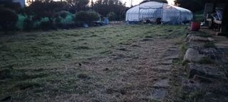 홍사용님의 기타작물 · 영농일지 작성글 사진