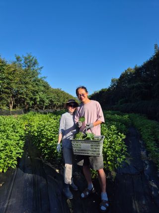 이지은님의 들깨 · 영농일지 작성글 사진