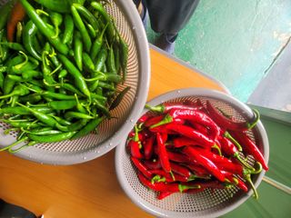 날씨가 흐려 방제가님의 사과 · 영농일지 작성글 사진