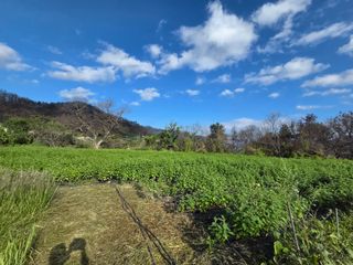 민원기님의 들깨 · 영농일지 작성글 사진