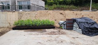 고동옥님의 기타작물 · 영농일지 작성글 사진