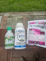 팜모닝 기타작물·영농일지 게시글 이미지