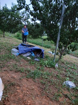 성재엄마님의 기타작물 · 영농일지 작성글 사진