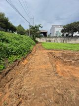 팜모닝 마늘·영농일지 게시글 이미지