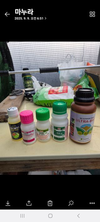 포도님의 기타작물 · 영농일지 작성글 사진