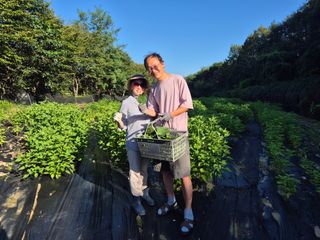 이지은님의 들깨 · 영농일지 작성글 사진