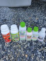 팜모닝 고추·영농일지 게시글 이미지