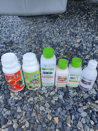 남기탁 님의 고추 · 영농일지 작성글 사진