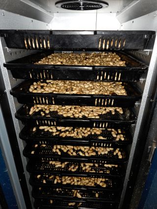 김윤회님의 기타작물 · 영농일지 작성글 사진