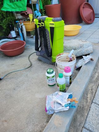 아리랑님의 고추 · 영농일지 작성글 사진