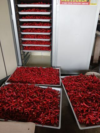 최남옥님의 기타작물 · 영농일지 작성글 사진