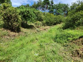 사과5991낙산사님의 기타작물 · 영농일지 작성글 사진