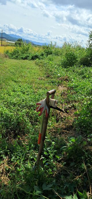 이복길님의 벼 · 영농일지 작성글 사진