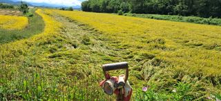 이복길님의 벼 · 영농일지 작성글 사진