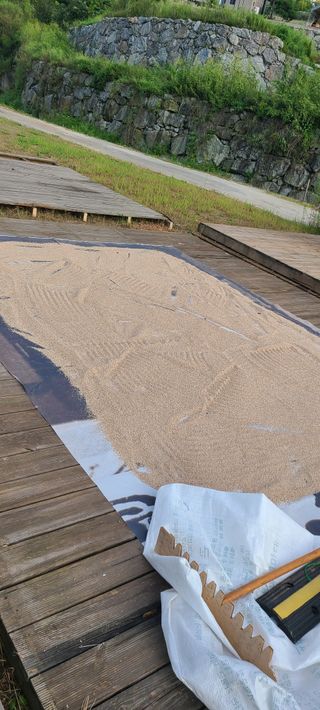 Mmebaik님의 참깨 · 영농일지 작성글 사진