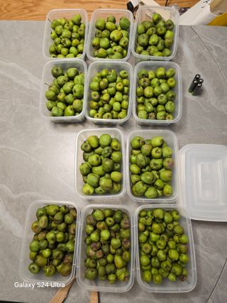 김종협님의 기타작물 · 영농일지 작성글 사진