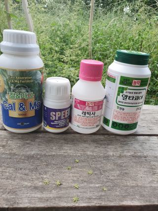 서선옥님의 감 · 영농일지 작성글 사진