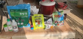 박상중님의 배추 · 영농일지 작성글 사진