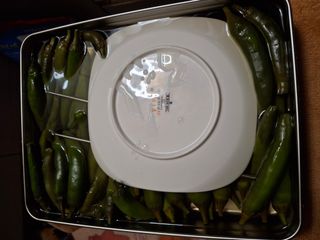 헤이쥬회원님의 고추 · 영농일지 작성글 사진