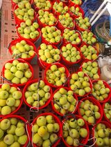 팜모닝 기타작물·영농일지 게시글 이미지