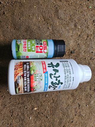 경달현님의 콩 · 영농일지 작성글 사진