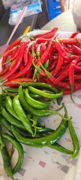 팜모닝 기타작물·영농일지 게시글 이미지