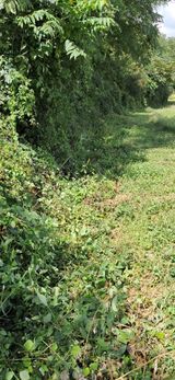 팜모닝 벼·영농일지 게시글 이미지