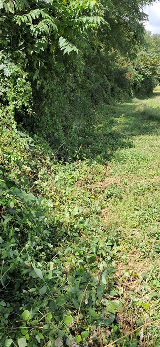 이복길님의 벼 · 영농일지 작성글 사진