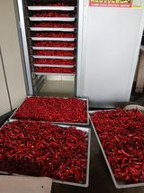 팜모닝 기타작물·영농일지 게시글 이미지