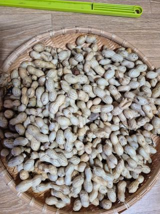 박순례님의 기타작물 · 영농일지 작성글 사진