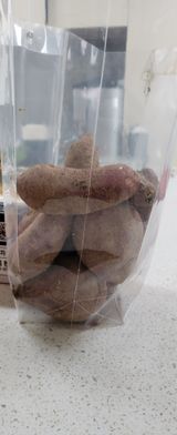 팜모닝 기타작물·영농일지 게시글 이미지