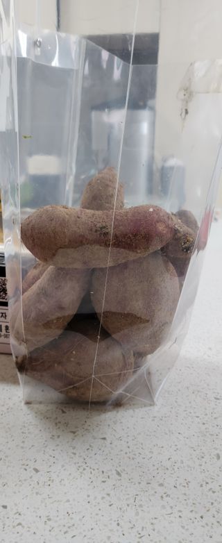 상추22033님의 기타작물 · 영농일지 작성글 사진