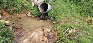 이복길님의 벼 · 영농일지 작성글 사진