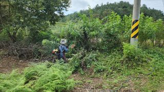 장흥 모경화 님의 기타작물 · 영농일지 작성글 사진
