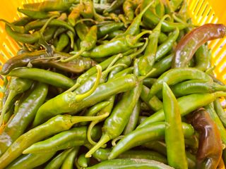 헤이쥬회원님의 고추 · 영농일지 작성글 사진