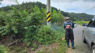 장흥 모경화 님의 기타작물 · 영농일지 작성글 사진