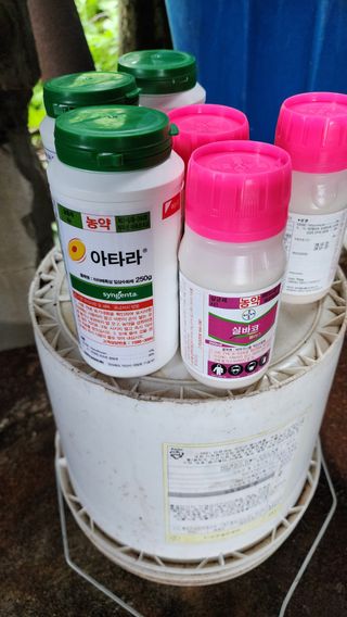 김종포님의 감 · 영농일지 작성글 사진